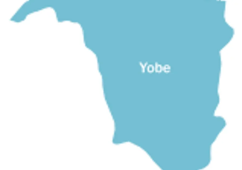 Yobe sets up committee to source, manage funds to boost education sector